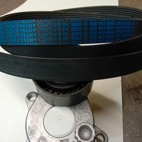 Cinghia distribuzione e tenditore Mercedes