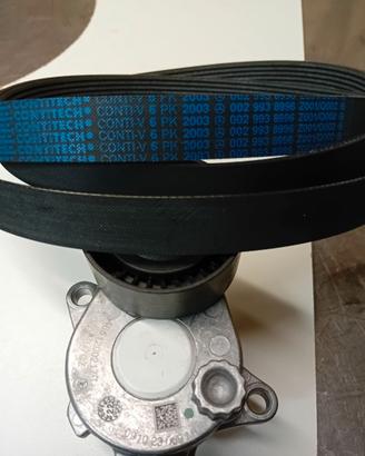 Cinghia distribuzione e tenditore Mercedes