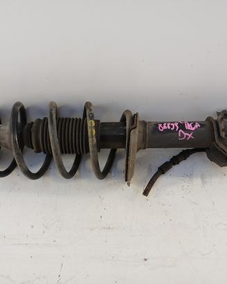 Ammortizzatore ant dx FIAT IDEA '08