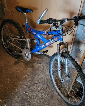 bicicletta