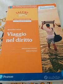 viaggio nel diritto 