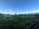 terreno-residenziale-alvignano