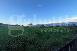 Terreno Residenziale Alvignano