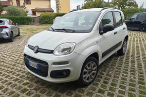 panda rigenerata