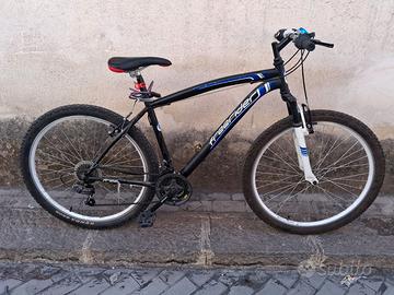 bicicletta