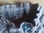 Immagine 3