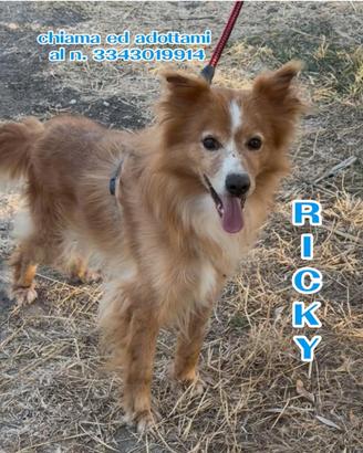 Ricky 6 anni taglia piccola 