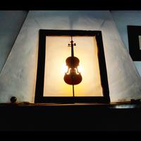 Lampada violino