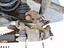 Immagine 28