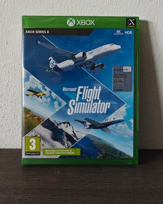 Flight Simulator Xbox Raro
