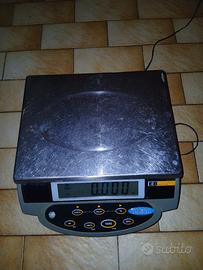 pesa elettronica funzionante