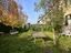Immagine 25