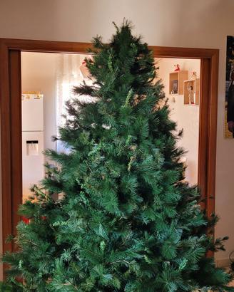 Albero di Natale