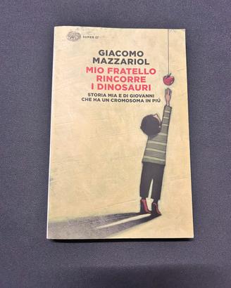Libro “Mio fratello rincorre i dinosauri”
