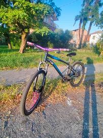 Rockrider st120 Kittata Leggere descrizione