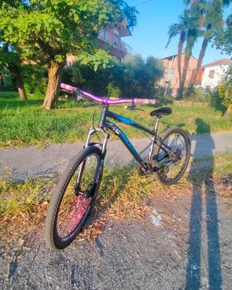 Rockrider st120 Kittata Leggere descrizione