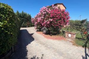 CASA SEMINDIPENDENTE A FUCECCHIO