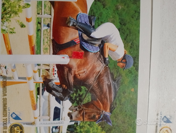 Cavallo per brevetti