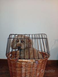 Cestino bicicletta per cani e gatti in vimini con