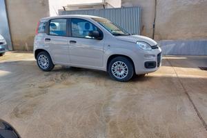 Fiat Panda 1.2 Pop