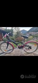 Bicicletta
