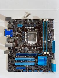 Scheda madre ASUS P8H67-M LE