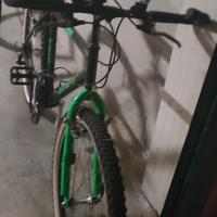 Mountain bike verde e nera
