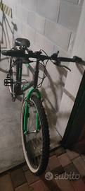 Mountain bike verde e nera
