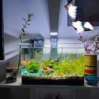 Acquario Amtra 40 litri