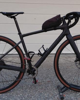specialized diverge carbon TgM