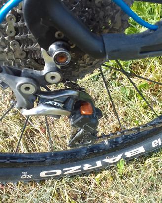 MTB Focus