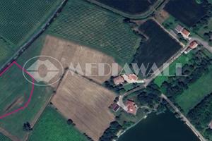 Prato a Annone Veneto