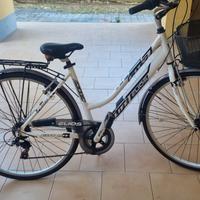 Bicicletta da passeggio