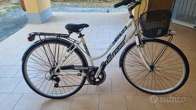 Bicicletta da passeggio