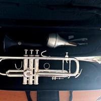 Tromba B&S Challenger I 3137 argentata – revisiona