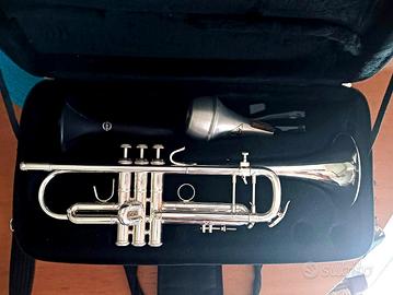 Tromba B&S Challenger I 3137 argentata – revisiona