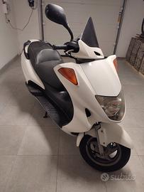 Honda Pantheon 150 2T