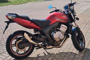 Honda CBF600N appena revisionata 