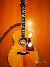 Chitarra acustica Richwood A 70 EVA