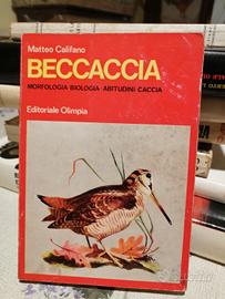 Beccaccia Matteo Califano