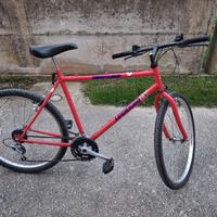 bici economica