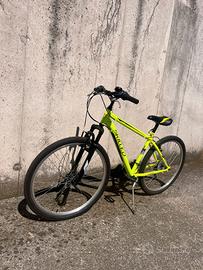 bicicletta unisex 