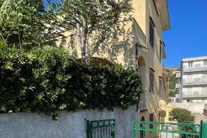 Lampetia Cetraro fronte mare