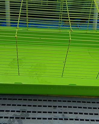 gabbia conigli 