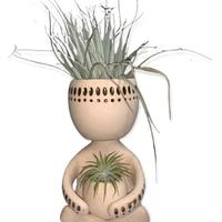 VASO ORNAMENTALE - Mamma & bimbo di tillandsia