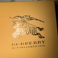 Orologio Uomo Burberry