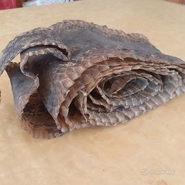 Pelle di pitone vera