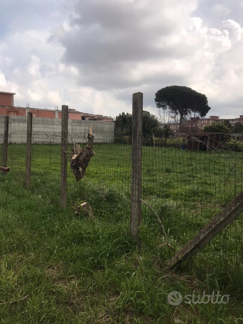 Terreno Marcianise Via Santella - Vista 3