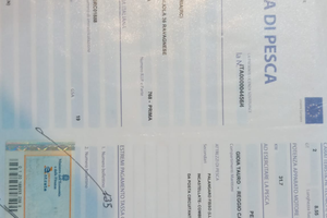 Barca da pesca con licenza 2gt