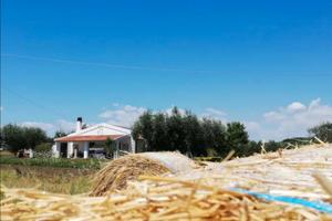 Villa Quinto Pisticci